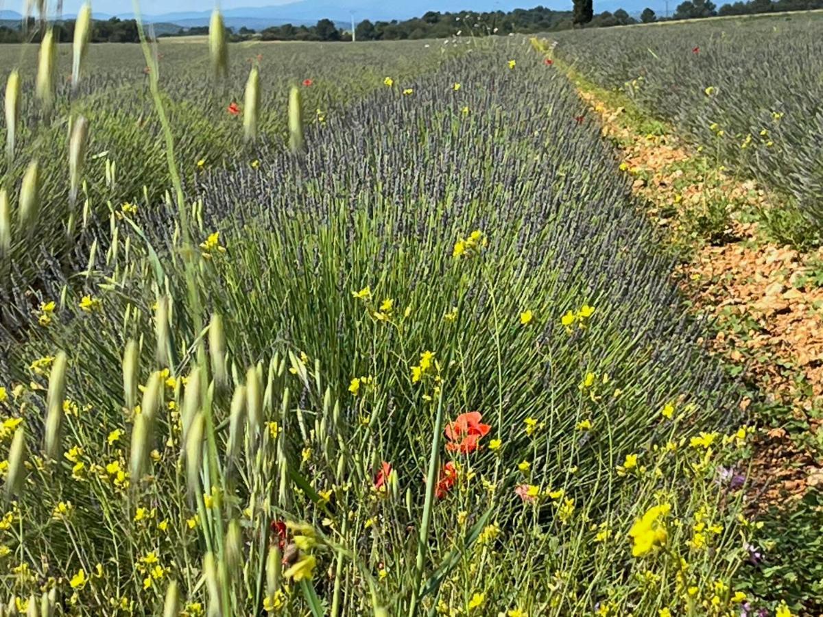 Gite Harmonie Gréoux-les-Bains Eksteriør bilde