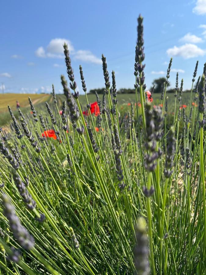 Gite Harmonie Gréoux-les-Bains Eksteriør bilde